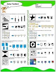 Zeka Gelişim Testleri